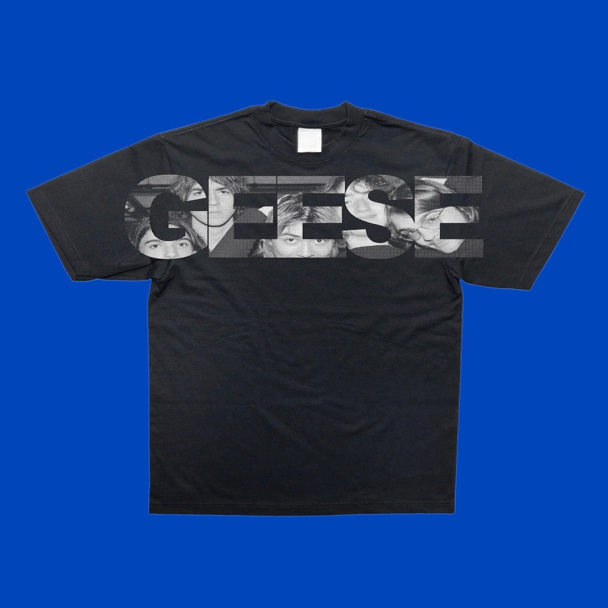 Geese The Band