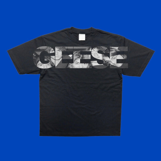 Geese The Band